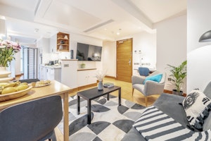 City Contemporary image 9