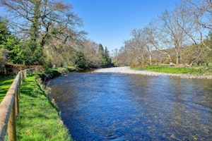Welsh Stone image 12