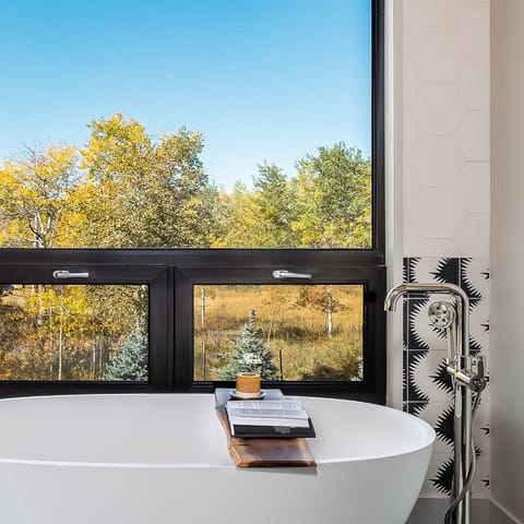 A luxurious master bathroom