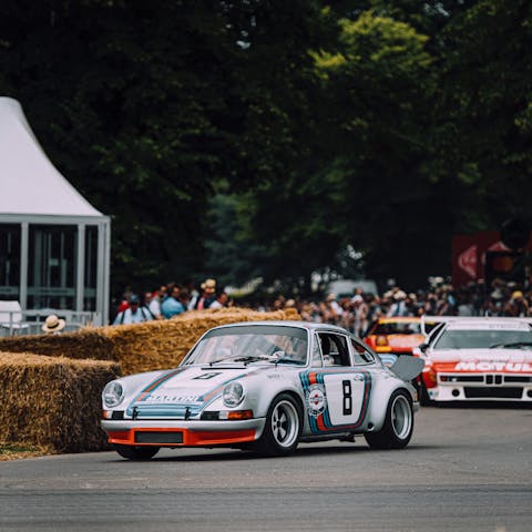 Enjoy the sights, sounds and smells of classic cars racing around the track at Goodwood