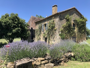 La Figue image 7