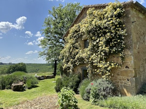 La Figue image 3