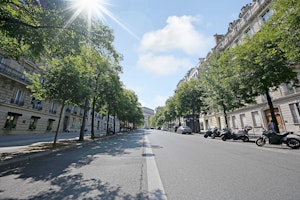 Promenading in Paris image 8