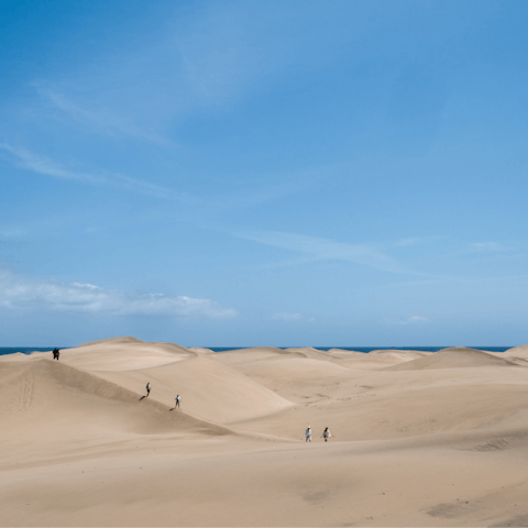 Visit the breathtaking Maspalomas Dunes, no more than a twenty-five-minute drive