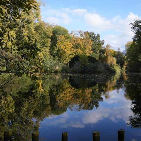 Head to the much-loved parks of Tiergarten and Am Köllnischen – both within walking distance