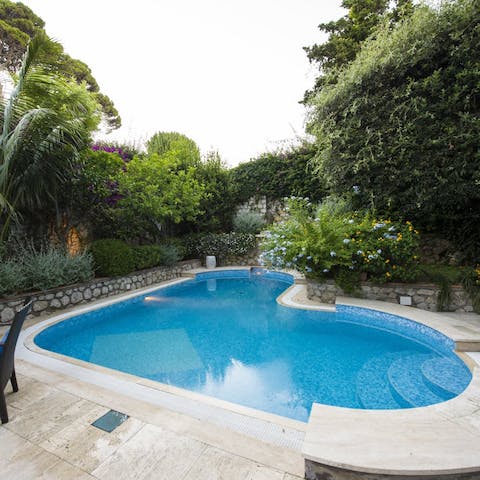 Enjoy the privacy of a swimming pool shaded by trees