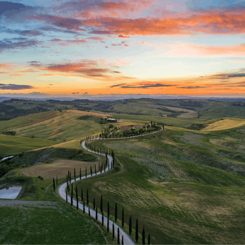 Explore the green hills and vineyards of Tuscany too