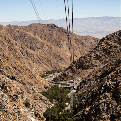 Head to the skies on the Aerial Tramway, an eight-minute drive away