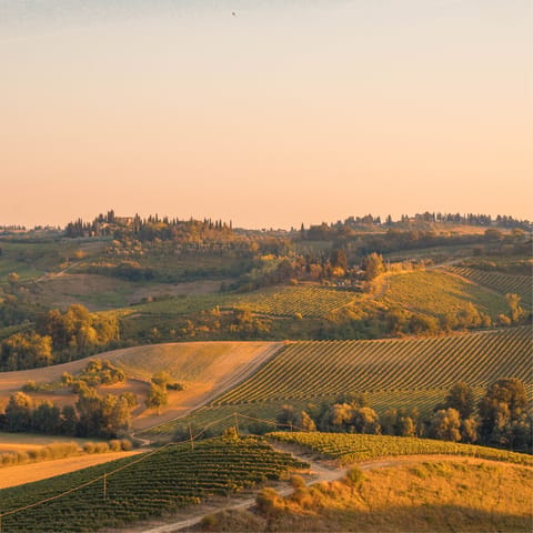 Explore Chianti 's vineyards, there are a few within easy driving distance