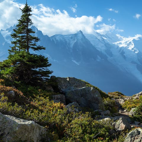 Explore beautiful Argentière and the Grands Montets in the Chamonix Valley