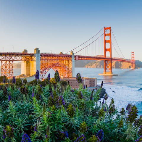 Drive half an hour to San Francisco to spot the Golden Gate Bridge