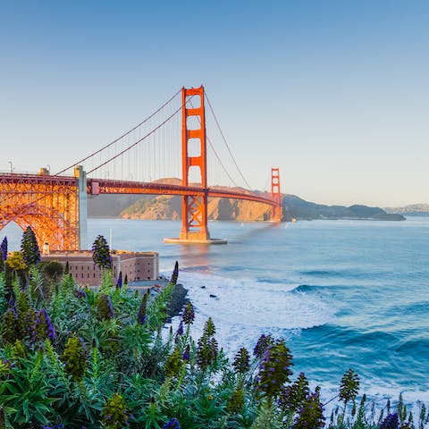Take a drive to San Francisco just forty minutes away
