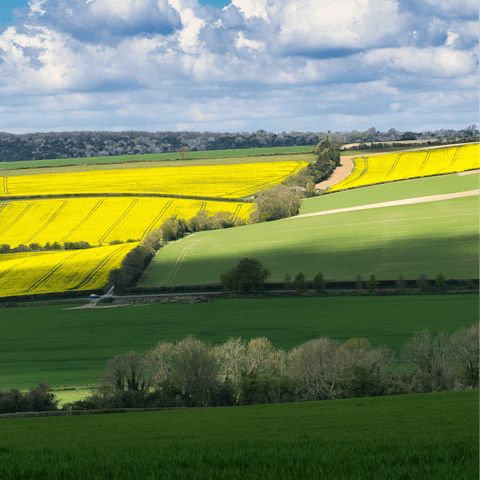 Put on your hiking boots and explore the Chichester countryside