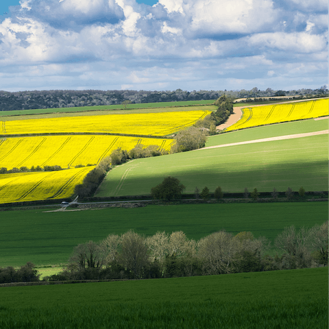 Put on your hiking boots and explore the Chichester countryside