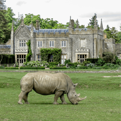 Experience the beauty of nature at the Cotswold Wildlife Park