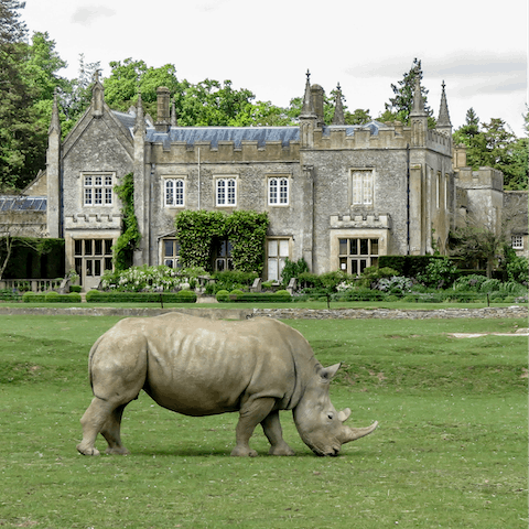 Experience the beauty of nature at the Cotswold Wildlife Park