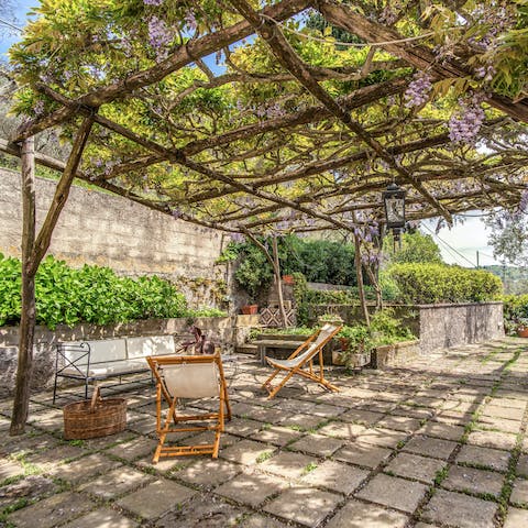 Relax with an Aperol Spritz under the Wisteria entwined pergola