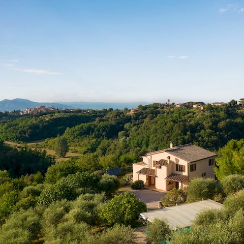 Stay in a gorgeous house surrounded by six hectares of olive trees