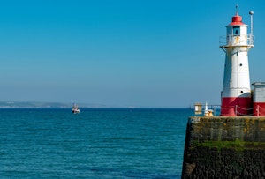 The Bay Dreams image 15