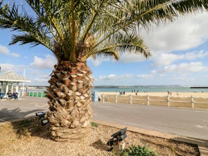Happy Cove image 3