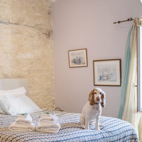 Your pooch is welcome at this home – let your host know a furry friend will be joining you