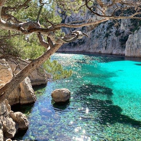 Take some time out to explore the nature of Marseille