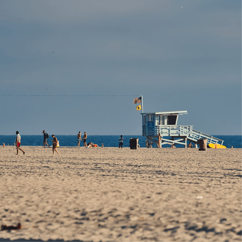 Explore La Jolla's famous sea and beaches