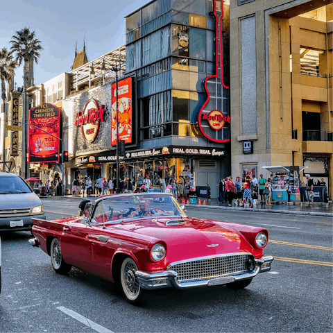 Enjoy an afternoon of sightseeing along Hollywood Boulevard
