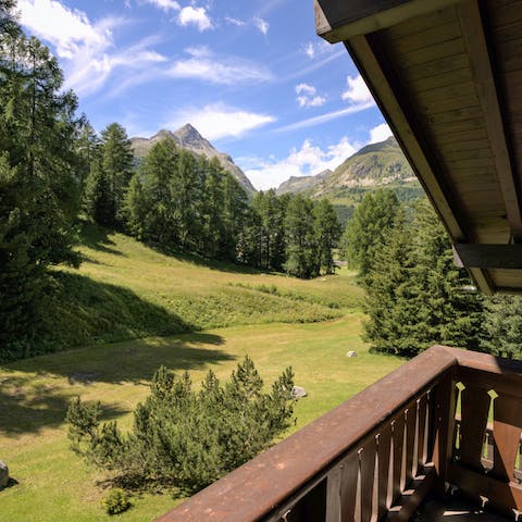 Sit out on the balcony and gaze out at bucolic Swiss countryside