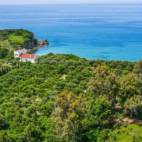 Stay just a few minutes drive from Halikounas Beach