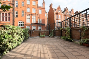 Lord Chelsea image 12