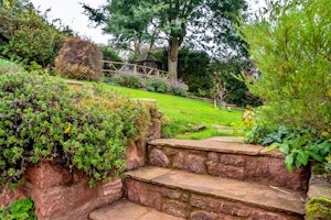 Honeycomb Hill image 2