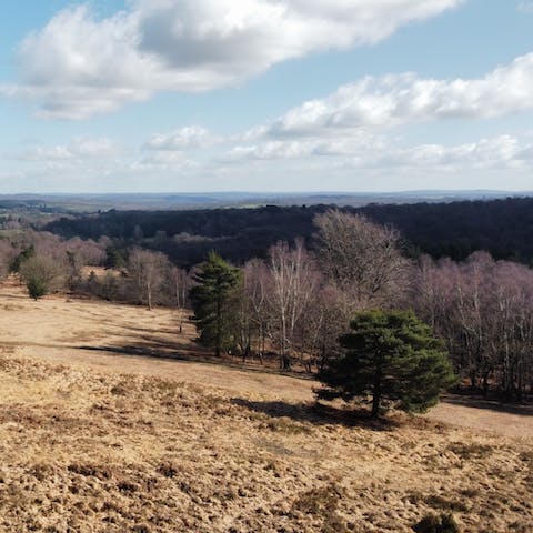 Don your walking shoes and explore Ashdown Forest, mere steps away