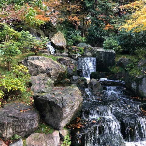 Wander about the Kyoto Garden in Holland Park, only five minutes' walk away