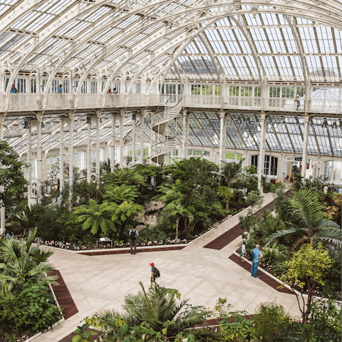 Catch a double-decker down to the vibrant Royal Botanical Gardens