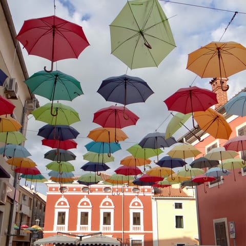 Visit the nearby town of Novigrad and find colourful buildings and historic sights to see
