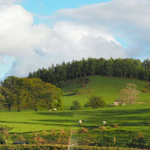 Take in uninterrupted country views from the first-floor windows