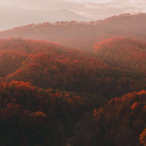 Escape to the heart of Gatlinburg, within easy reach of the Great Smoky Mountains National Park