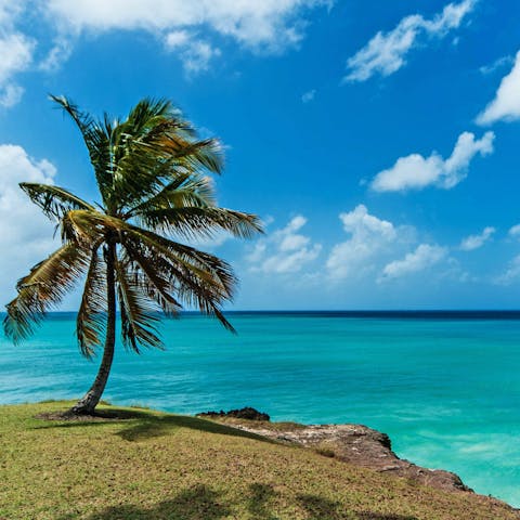 Treat yourself to a rejuvenating stay on the west coast of Barbados