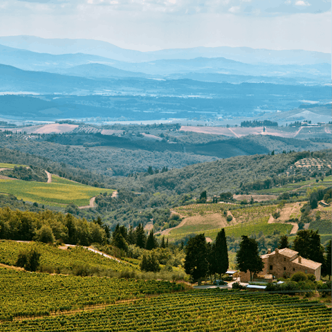 Discover the wines, food, and natural beauty of Chianti