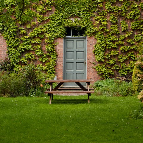 Take your morning coffee out to the picnic bench for a refreshing start to the day, surrounded by luscious greenery