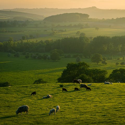 Amble through the High Weald AONB, or stay closer to home and explore the woodlands and grounds