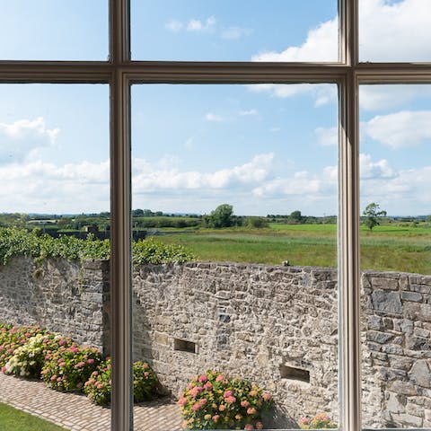 Look out of your window at the sweeping view of the Irish countryside