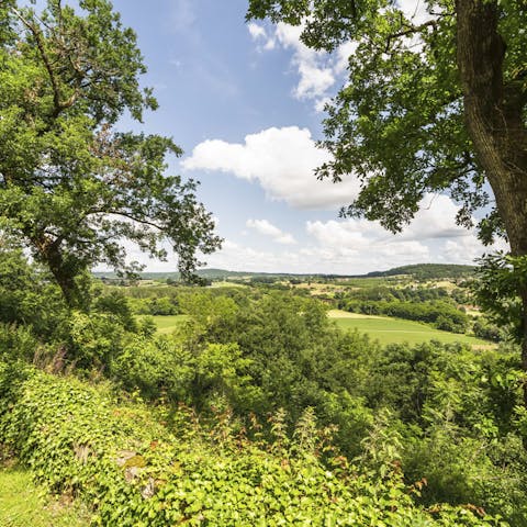 Explore the lush landscapes by hiking thirty minutes to the town of Trémolat