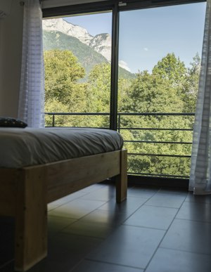 The Parmelan image 2