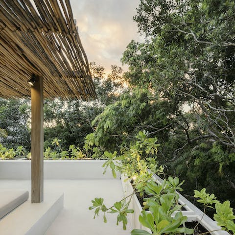 Watch incredible sunsets over the jungle from the roof terrace