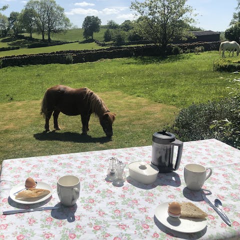 Enjoy your breakfast on the patio while the owner's horses roam around you