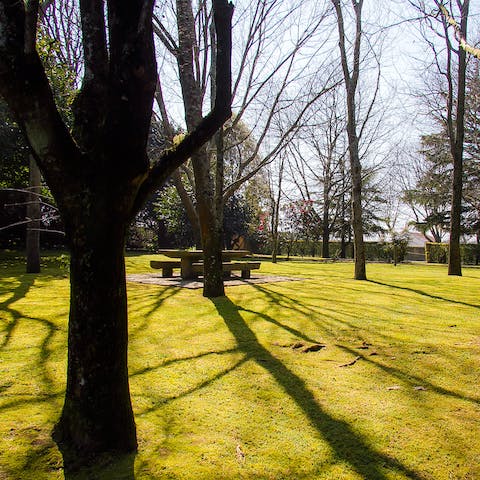 Wander around the huge garden of this home and find your favourite spot to soak up the afternoon sun