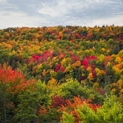 Spend summer days hiking and fishing – and in winter, hit the slopes