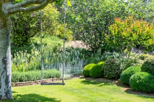 Sunny Orchard Place image 11